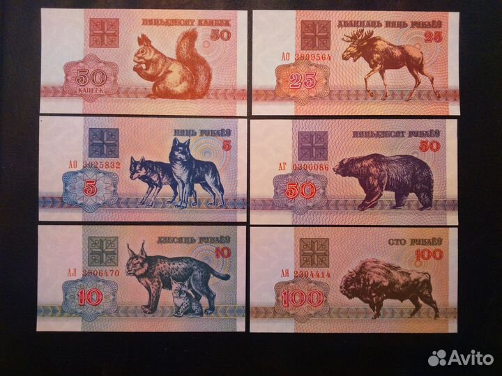 Банкноты Беларуси и Украины. Новые из пачек
