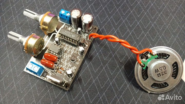 Пират металлоискатель