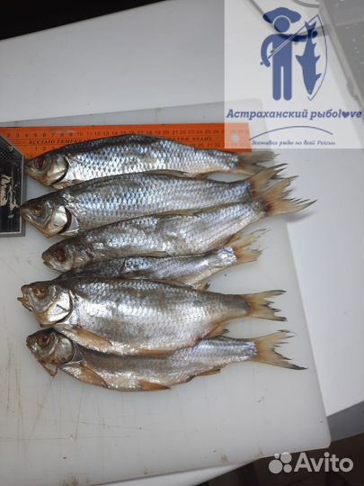 Вяленая астраханская вобла/Отправляем посылки