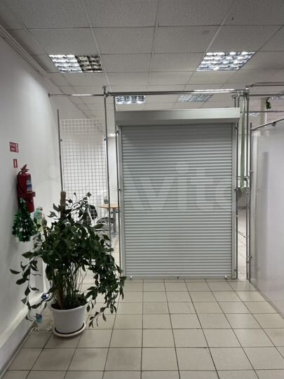 Торговая площадь, 51 м²