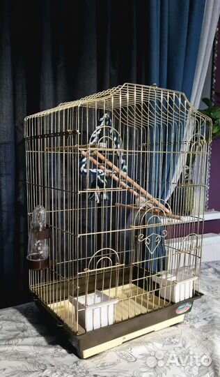 Клетка для попугая корелла