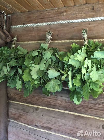 Веники дубовые (лапы)