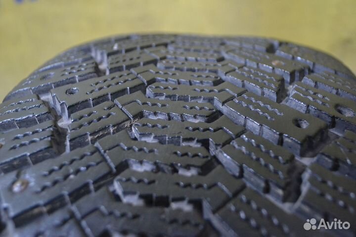 Cordiant Polar 205/55 R16