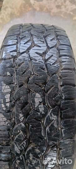 Летняя резина на дисках