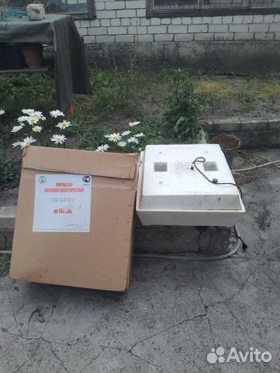 Инкубатор для яиц