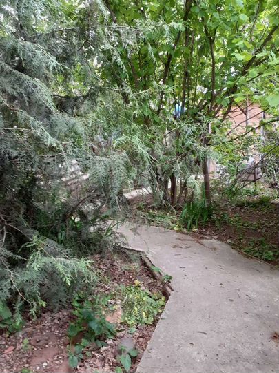 Участок 1,5 сот. (ИЖС)