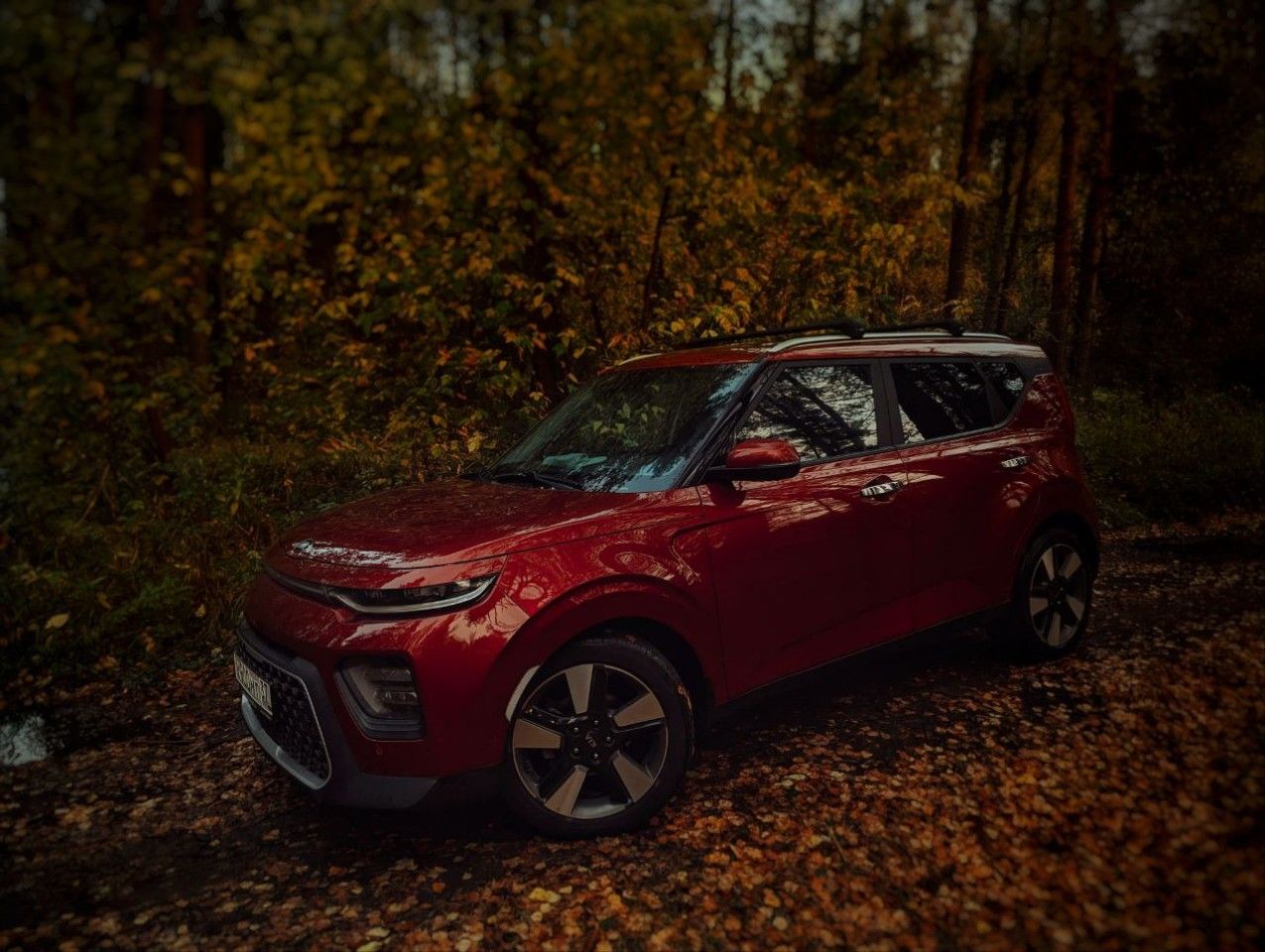 Kia Soul: фото владельца