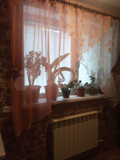 3-к. квартира, 48 м², 1/2 эт.