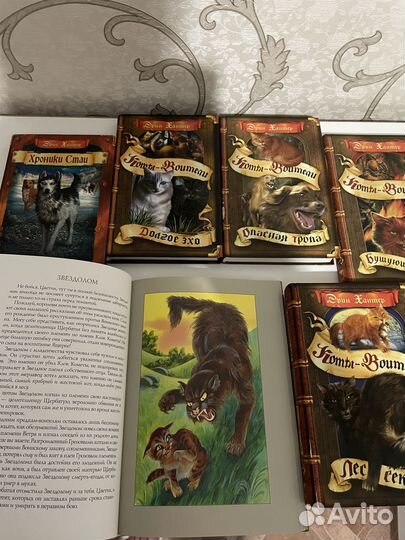 Коты-воители