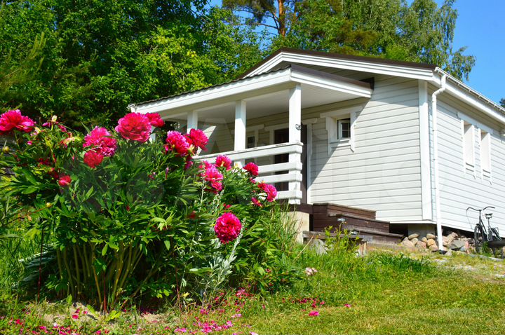 Дом 36 м² на участке 60 сот.