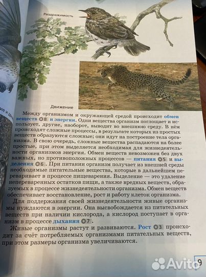 Биология 5 класс учебник/Сивоглазов