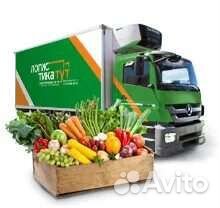 Водитель экспедитор категория 