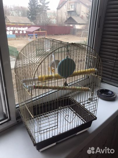 Клетка для птиц