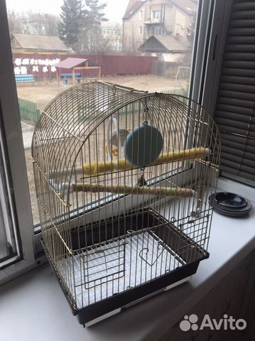 Клетка для птиц