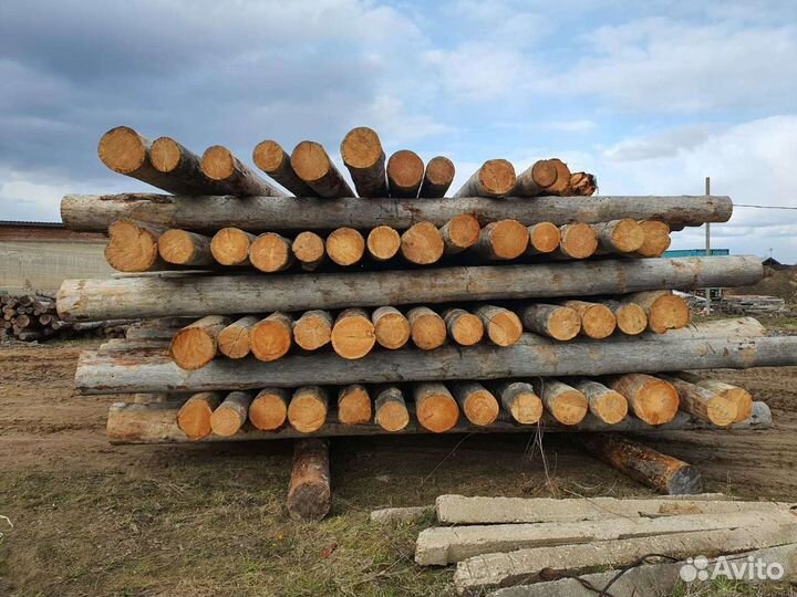 Бревно kelo сухостойная полярная сосна сухарник