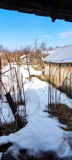 Дача 29 м² на участке 4,8 сот.