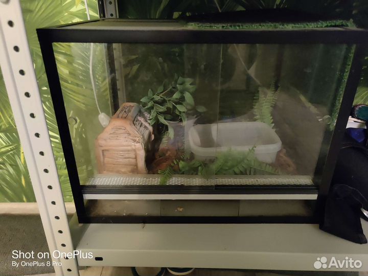 Террариумы