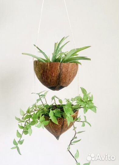 Горшок для цветов