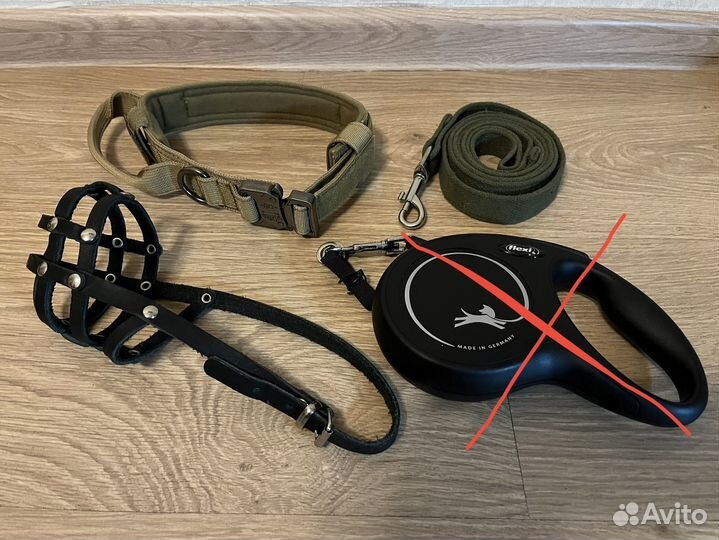 Поводок, намордник, ошейник для собак