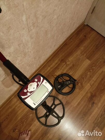 Металлоискатель минелаб terra 505