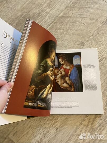 Книга эрмитаж 250 шедевров