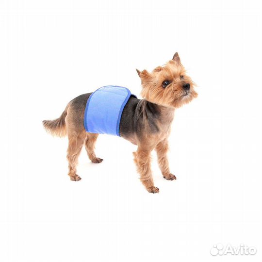 Трусы для собак многоразовые osso