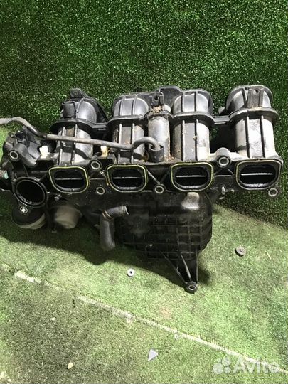 Коллектор впускной Ford Focus 2 qqdb