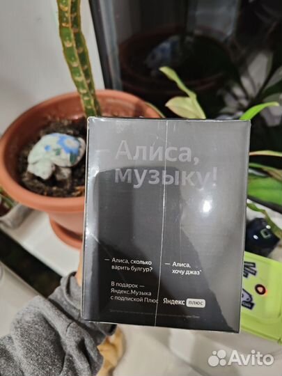 Колонка алиса мини