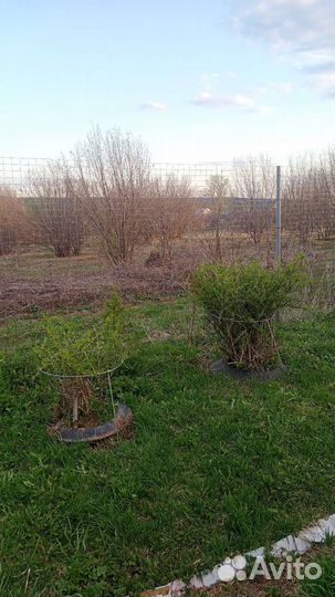 Столбы и сетка для забора