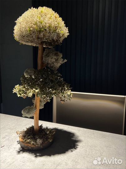 Дерево для интерьера