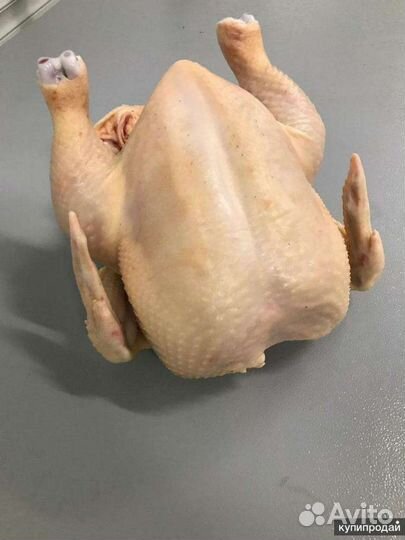Мясо домашней птицы