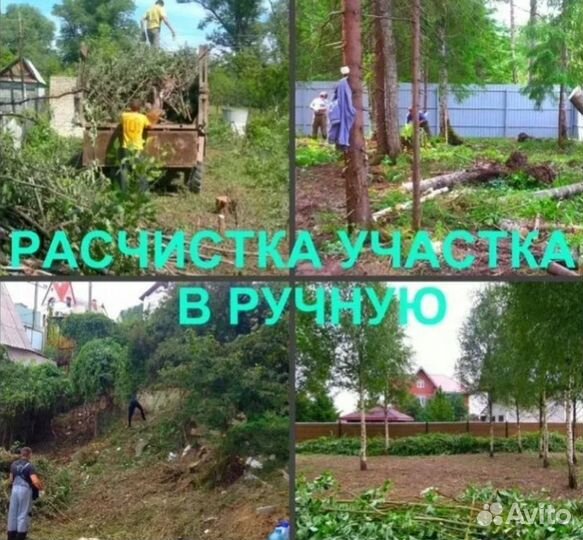 Покос травы, борщевика и уборка участка