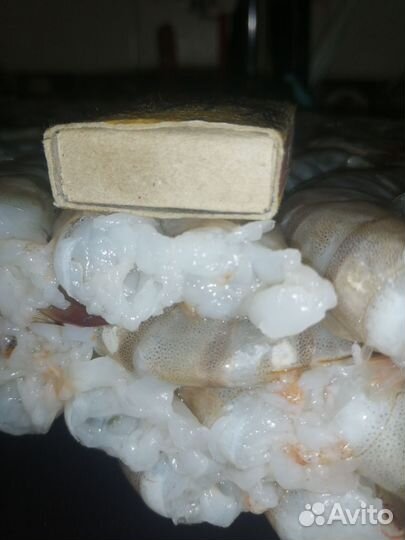 Креветки тигровые/северные /брикетные/лангустины