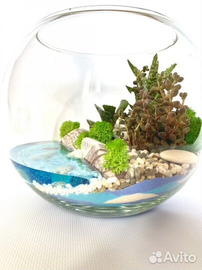 Флорариум с имитацией водоема