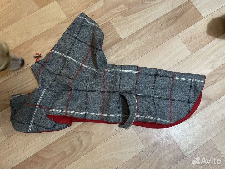 Одежда для мини собак