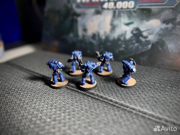 Intercessor Primaris