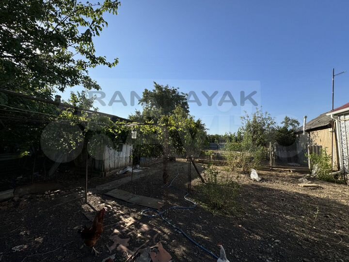 Участок 25 сот. (личное подсобное хозяйство (лпх))