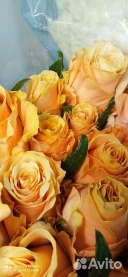 Цветы розы букет