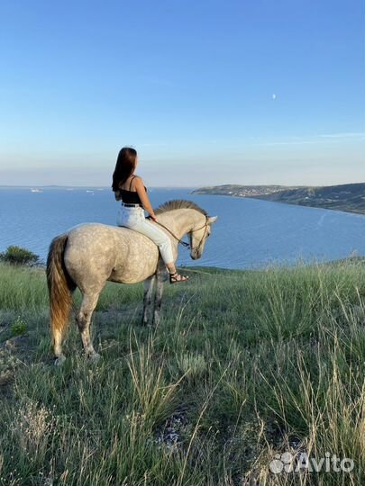 Конные прогулки