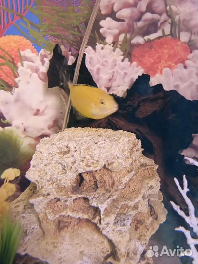 Аквариум с тумбой 300 литров