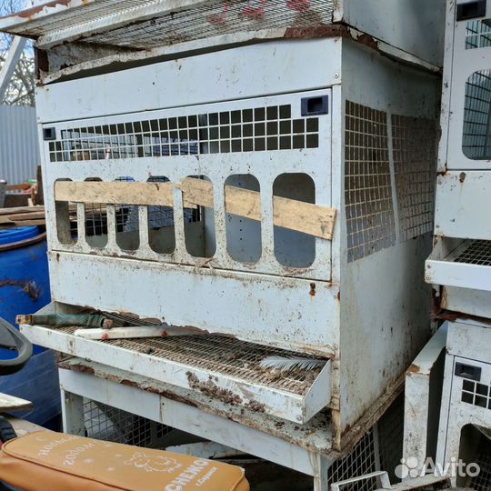 Клетки для кур бу