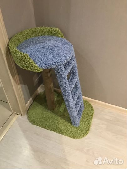 Когтеточка «Каменный цветок»