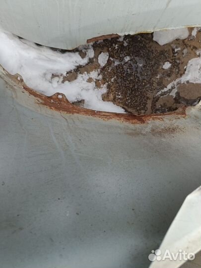 Крылья тоета