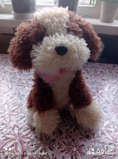 Маленькая собака игрушка, умеет повторять речь