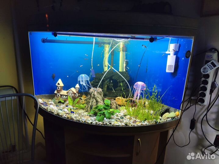 Аквариум