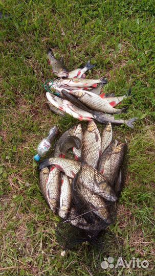 Лодка Адмирал 320