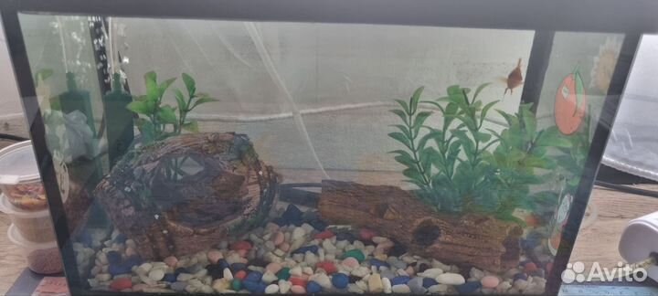 Аквариум с рыбками