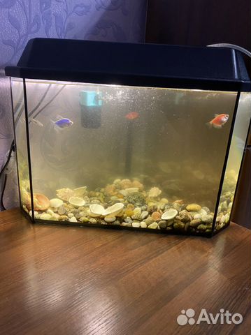 Аквариум
