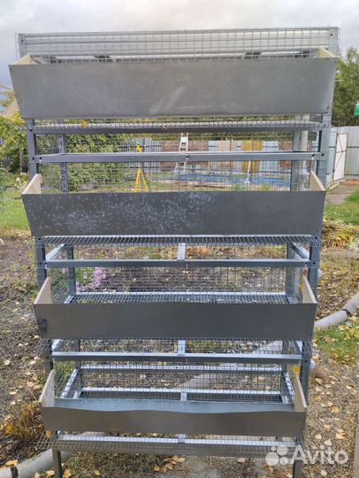 Клетки для перепелов