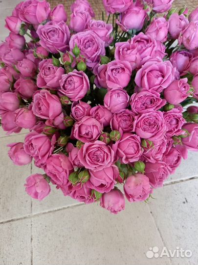 Цветы. Ромашка. Доставка цветов